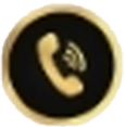 Phone Icon